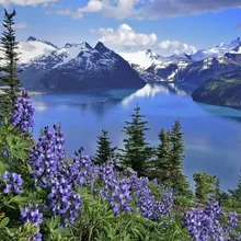 Удаленные горы и рядом с водой DIY живопись по номерам пигментная щетка Живопись Искусство Ручная роспись креативная Цифровая живопись маслом