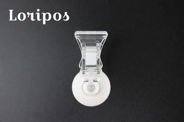 Клейкая клейкая подставка для витрины с именем и картой ценников бумаги билета