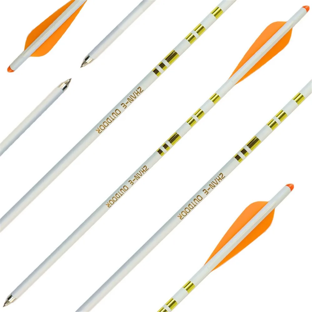 crossbow bolts (13)