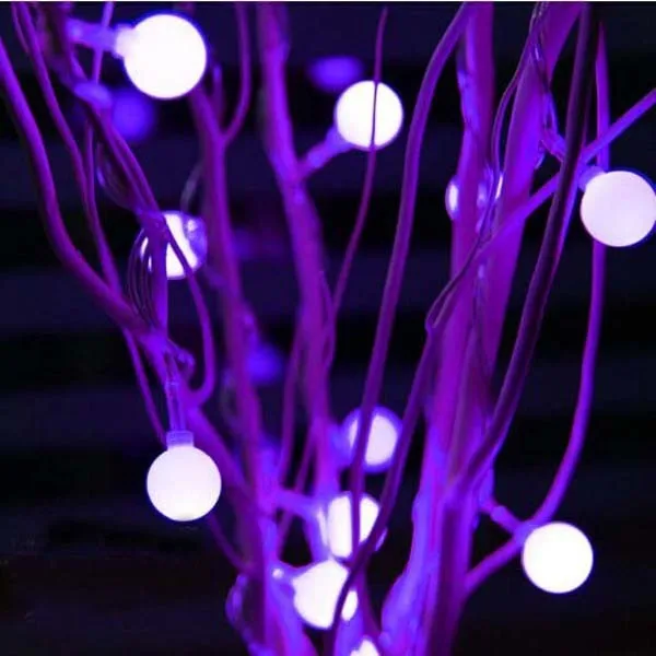 009