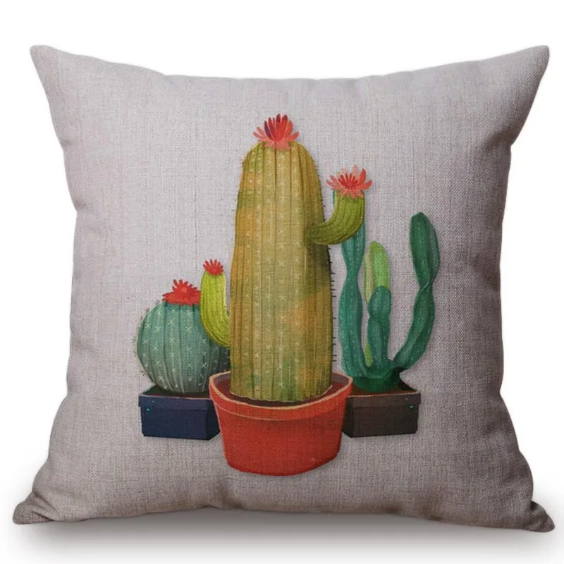 new-pocket-cactus-canvas 
