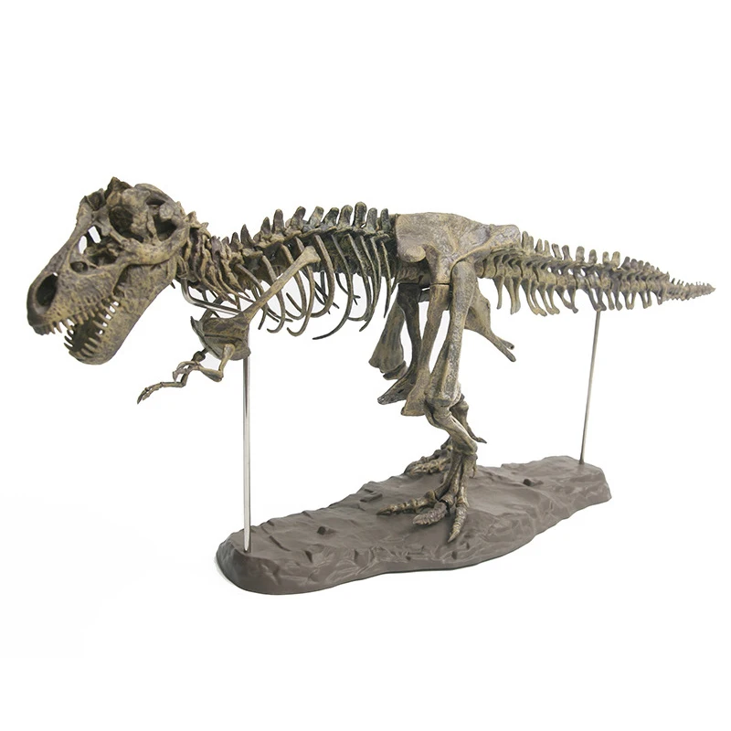 Большой 4D тираннозавр рекс раскопки Science Kit выкопать динозавра и собрать 4D Скелет древних животных Fossil игрушки в форме черепа