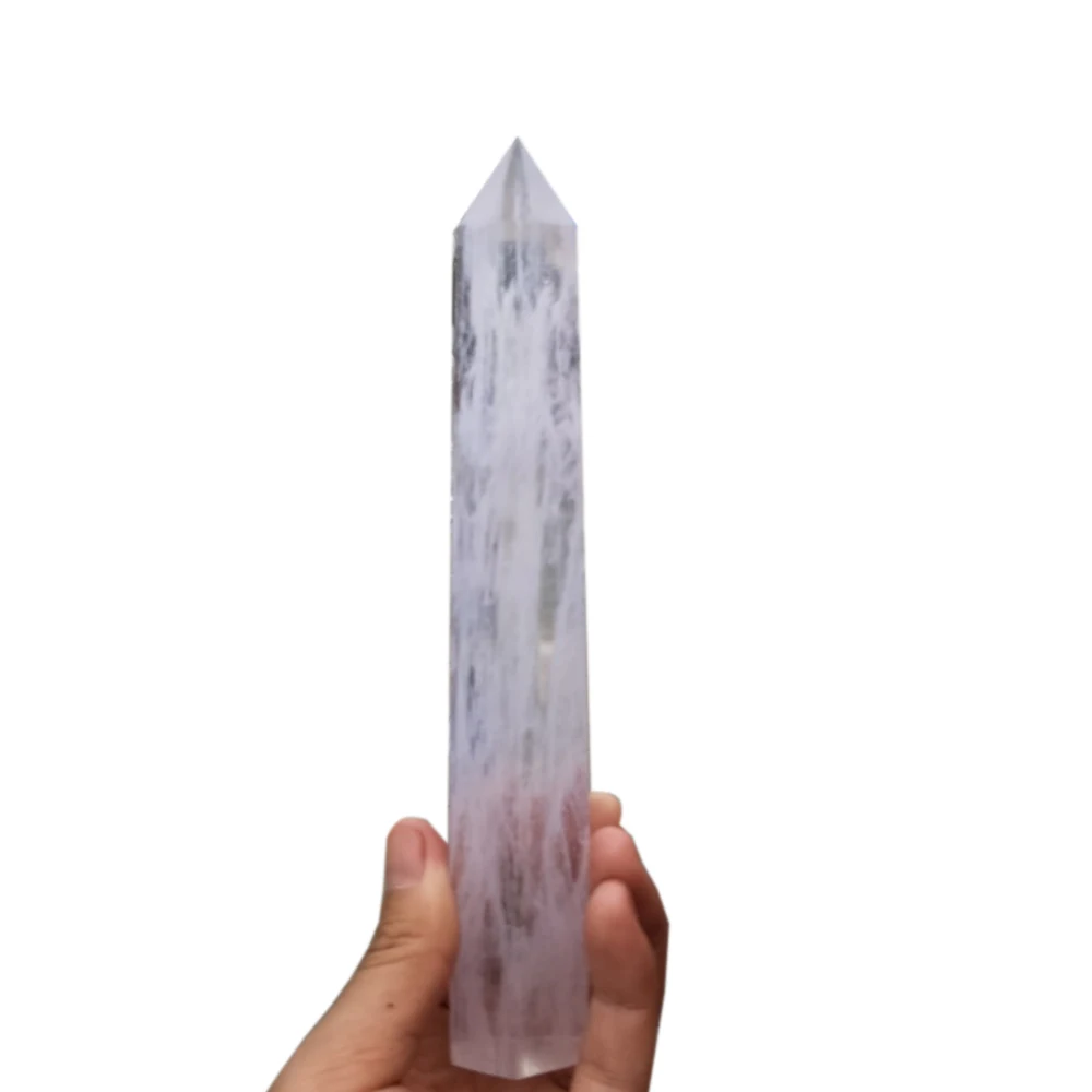 w61