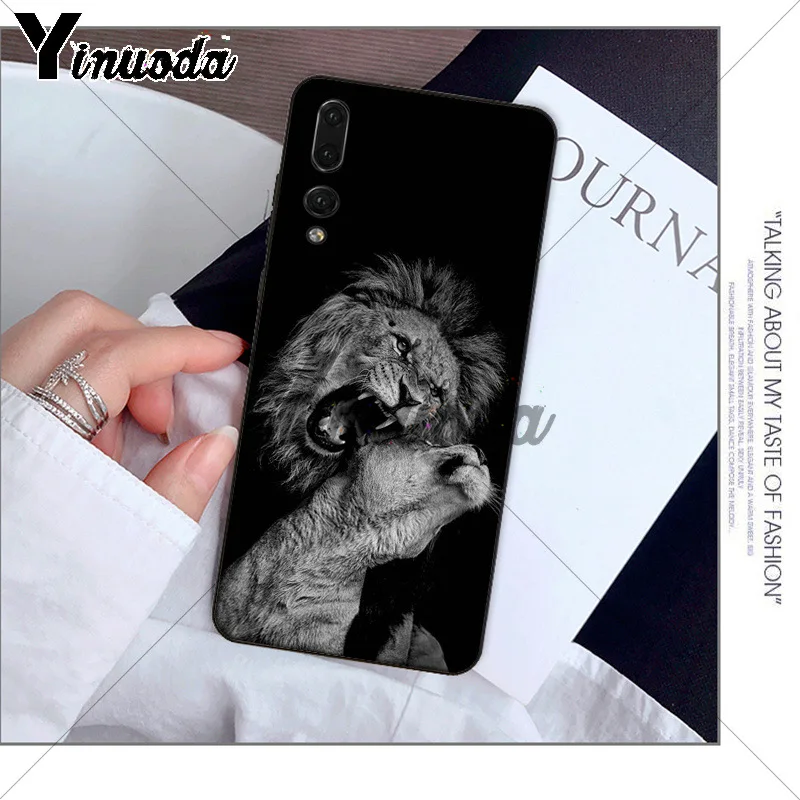 Animals The lion