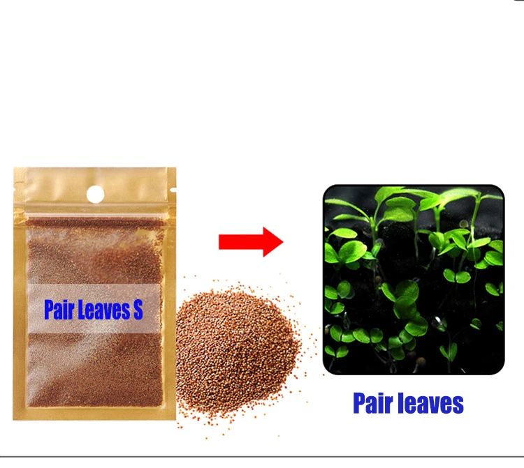 Легко выращивать аквариумные растения вода трава Семена аквариум декорация для аквариума Пейзаж орнамент водоросли
