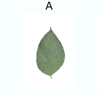 3_