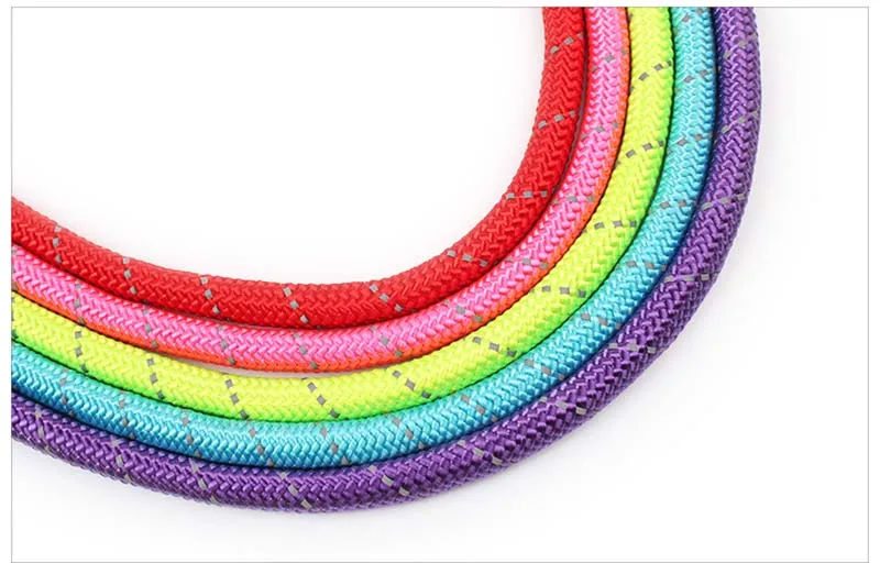SYDZSW Nylon Pet Dog Leash Thicken Strong and Durable Alloy Clasp Pet Puppy Rope Blue Green Red Purple Pink Pet Products Wholesale8