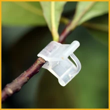 100pcs! Seedlings Grafted Branches Clip Flower Seedlings In Plastic Connecting Parts Arts Grafted Nursery Accessories 100pcs! Seedlings Grafted Branches Clip Flower Seedlings In Plastic Connecting Parts Arts Grafted Nursery Accessories