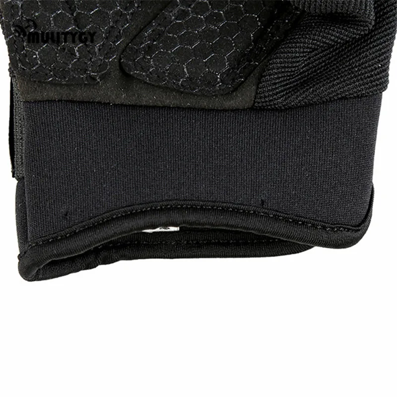 Palm35 (3)