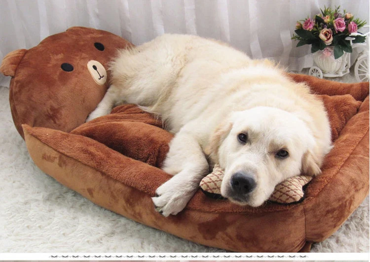 cute dog bed