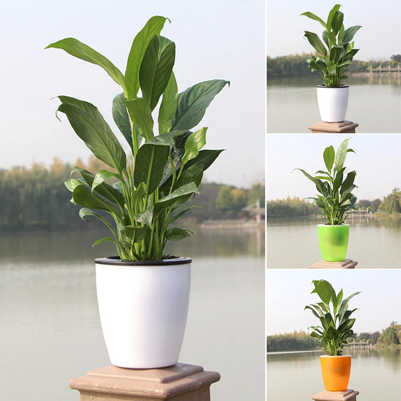 

Flower Pots & Planters Lazy Flowerpot Automatic Water-absorbing Pottery Plastic Basin Green Plant Water-repellent Resin Basin