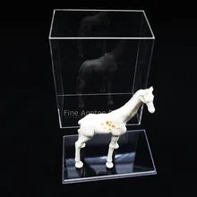 Акриловый дисплей ювелирный художественный коллекционный ящик Чехол 5 сторонний дисплей музейная коробка с основанием
