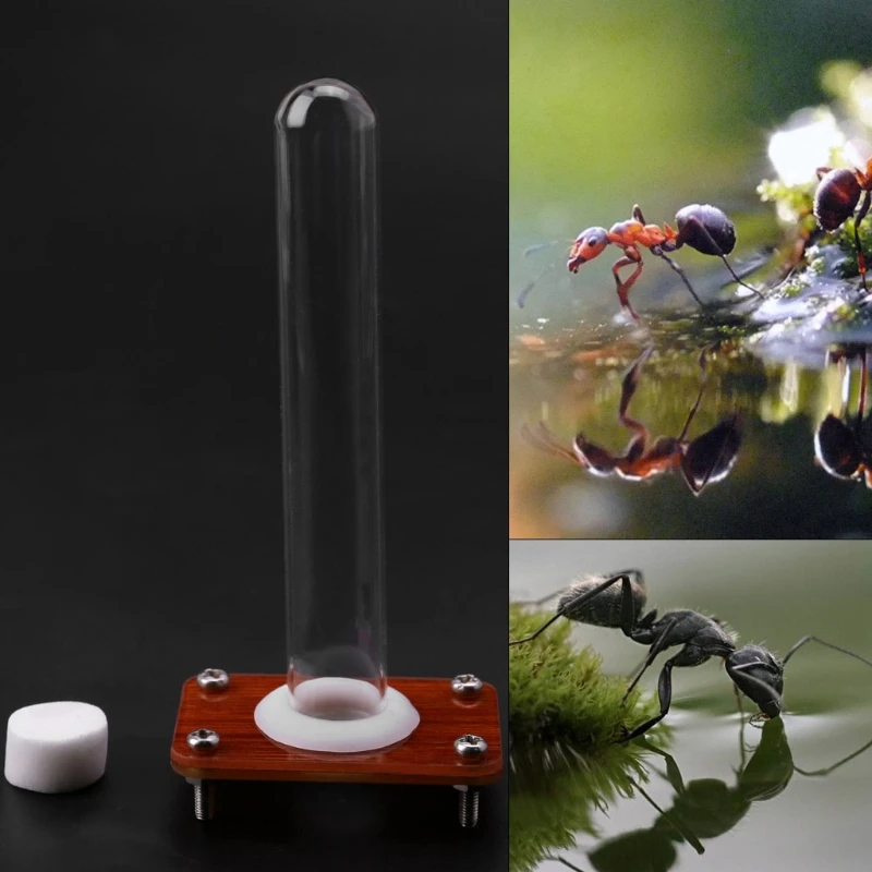 

Ant Arcylic Water Feeder Container Ant Farm Insect Nest Drinking Water Erea
