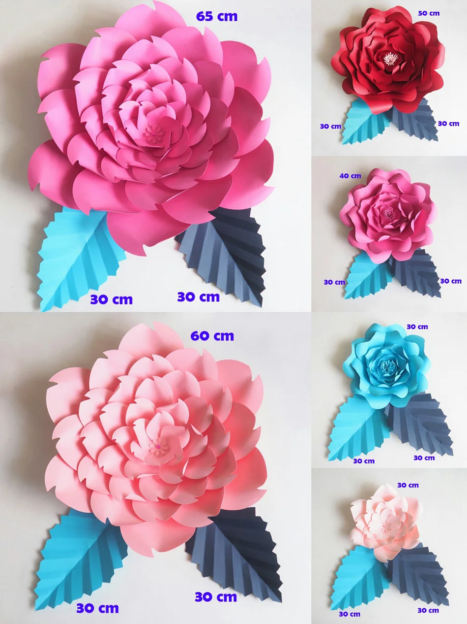 size 30 cm