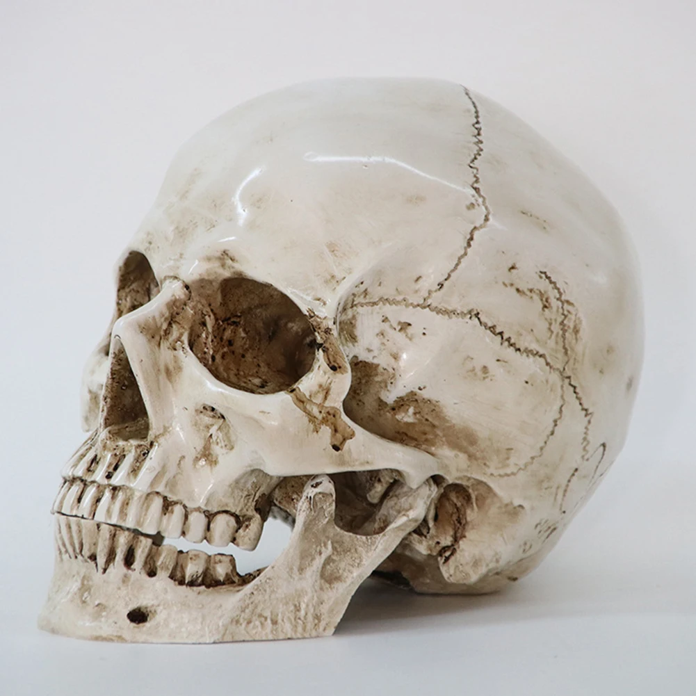 

New Arrival Halloween Home Decorative Craft Skull 1:1 Model Statues Sculptures Resin Kitchen Restaurant Bar Decor