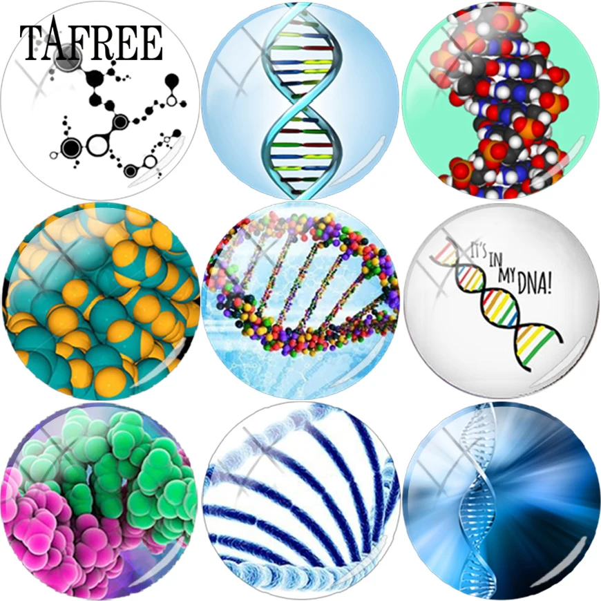 

TAFREE Deoxyribonucleic Acid Chromosome DNA Picture Glass Cabochon Dome 25mm Flat Back Making Findings DIY Beads