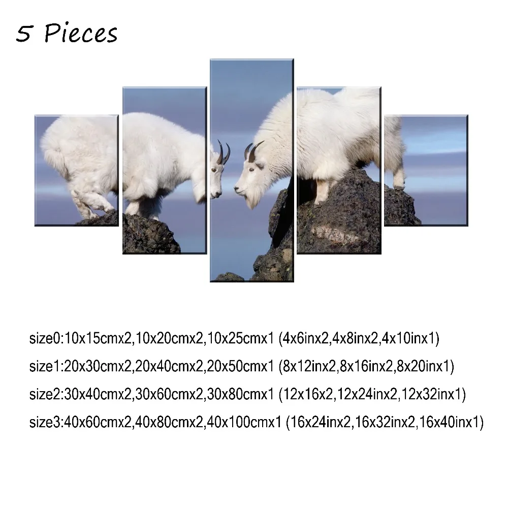 05P-30x40- 