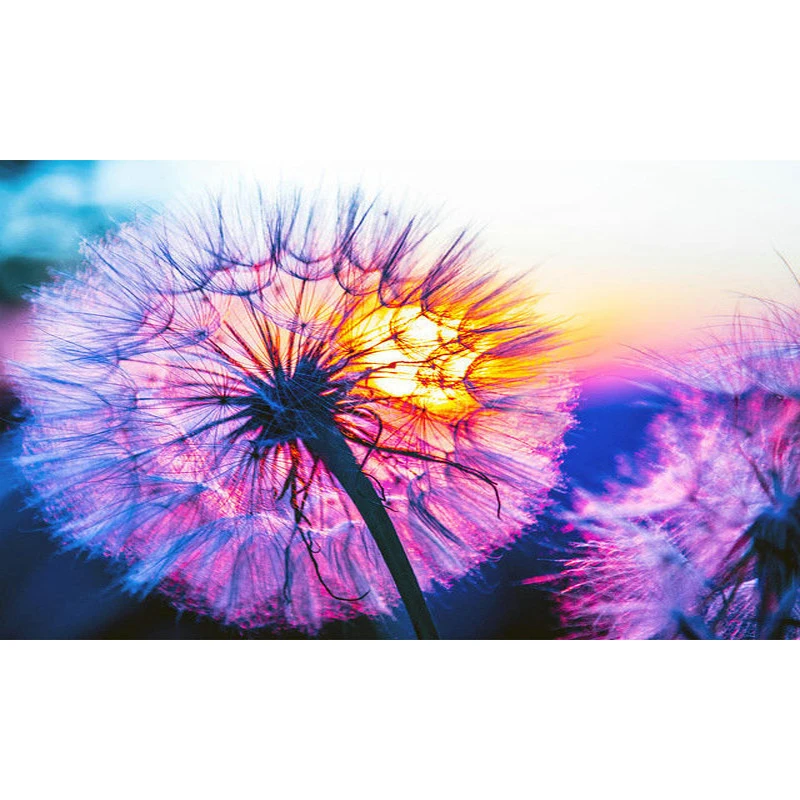 

YIKEE 5diy Diamond Painting Flower 5d diy Full Square Diamond Embroidery Rhinestone Mosaic Painting Home Decor k957