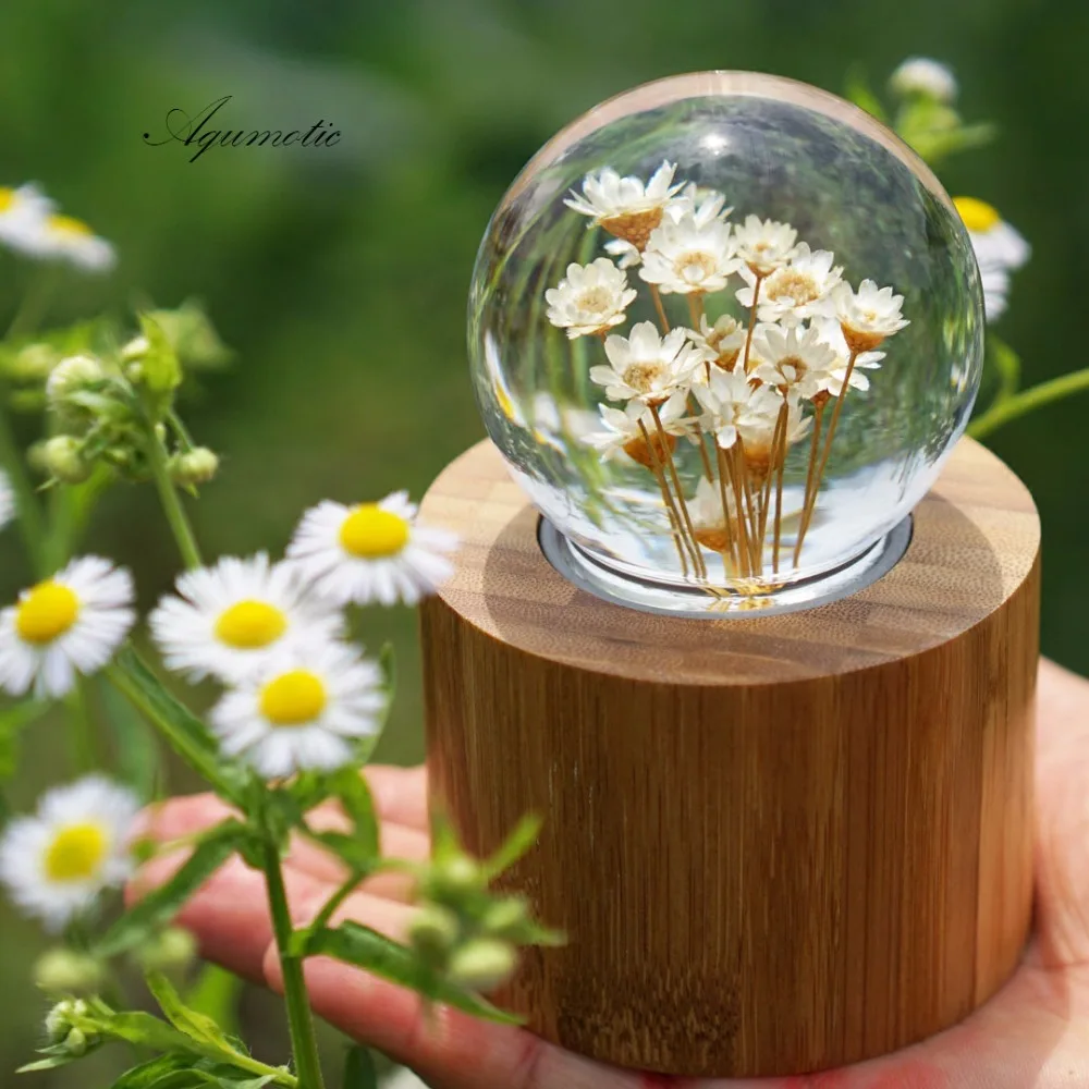 Aqumotic Eternal Flower Daisy Music Box 1pc Pink Clockwork Type Crystal