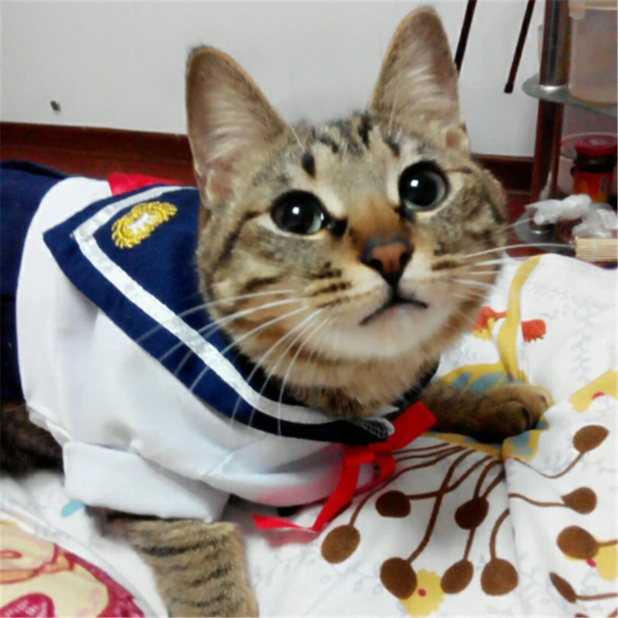 Buy Pet Costume Cats Animals Clothing For Pets Ledibag And Super Cat Pet Shop