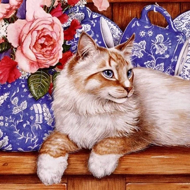 HTB192blboLrK1Rjy0Fjq6zYXFXaQ