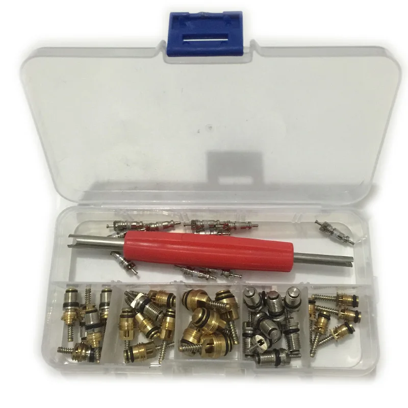 41Pcs R134A Automotive Air Conditioning Valve Core With Box A/C Tire