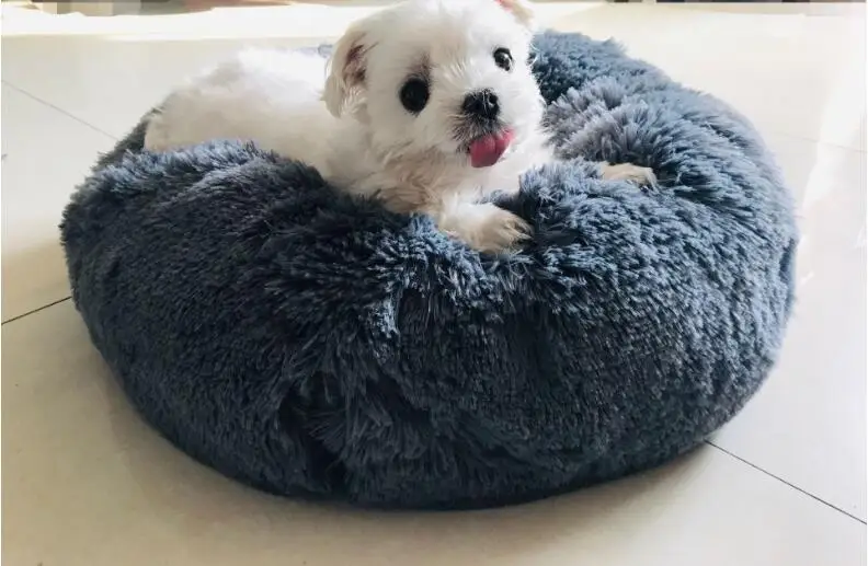 QQ20190510104949