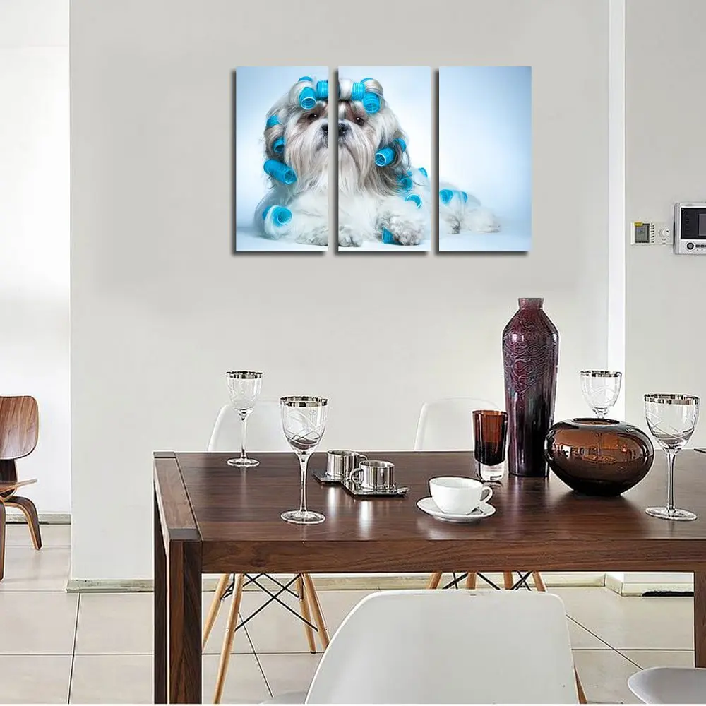 Beautiful Cute Curly Shih Tzu Dog Puppy-1