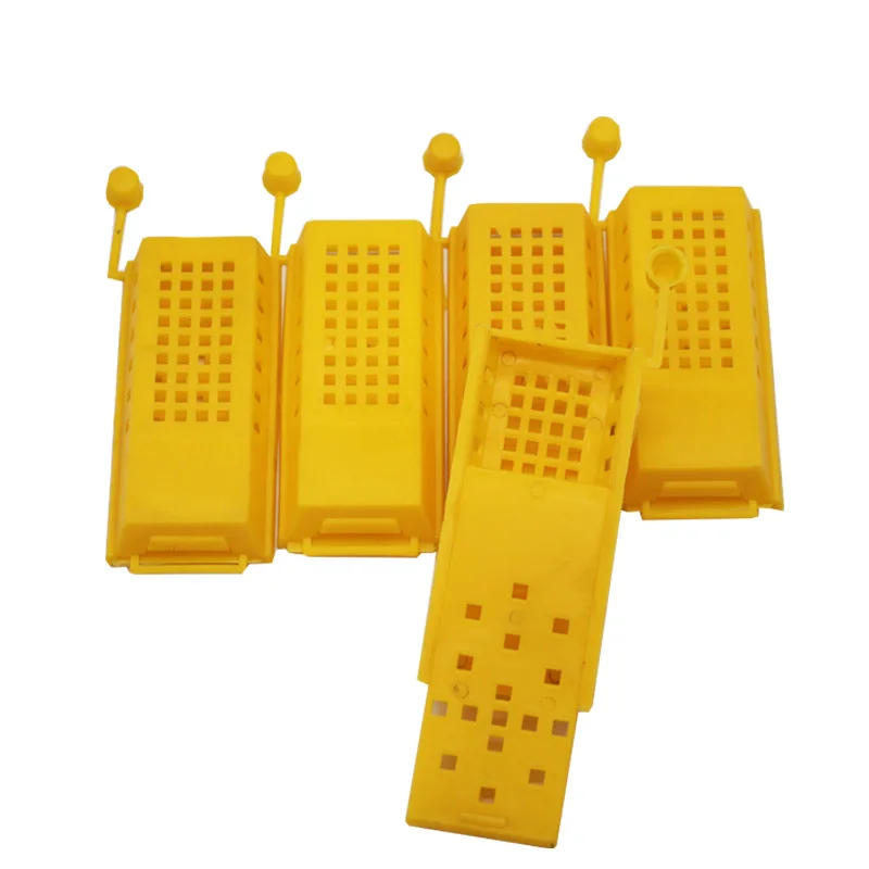 100 Pcs Bee Feeding Device Prisoners Cage Beehive Honey Beekeeping Queen Tools Wholesale | Дом и сад