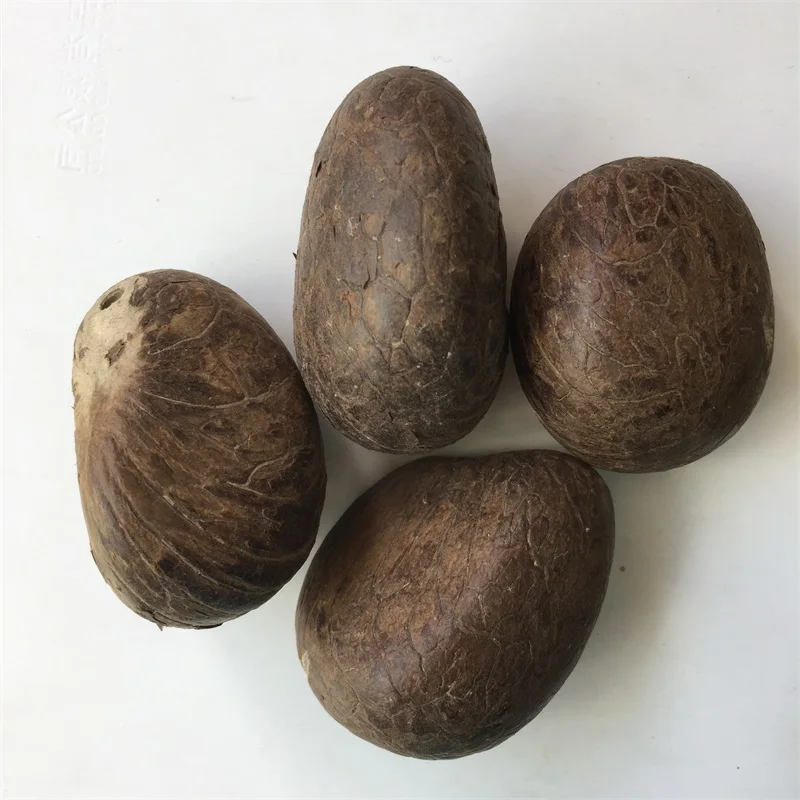 

Wholesale Genuine Original Tagua Nut for DIY Carved Zen Buddhism Sign Pendant Jewelry Making Natural Wooden Crafts Necklace Gift