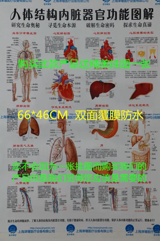 //img.alicdn.com/imgextra/i2/466366108/T2.fCdXxtXXXXXXXXX-466366108.jpg