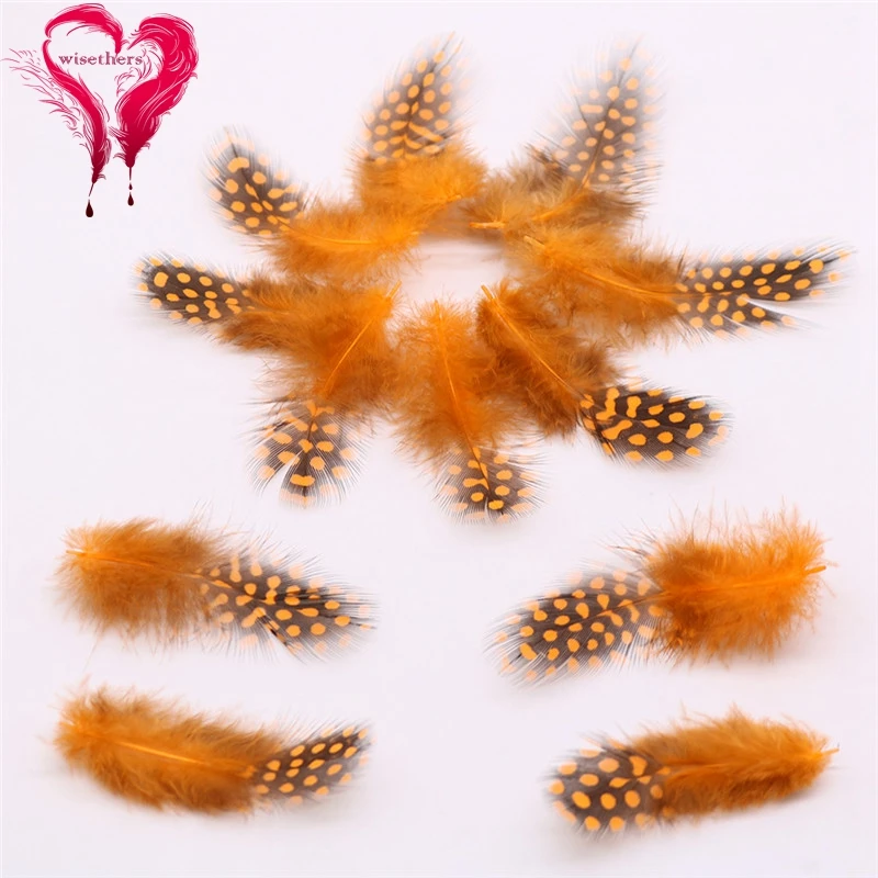 5 orange guinea fowl feather 2