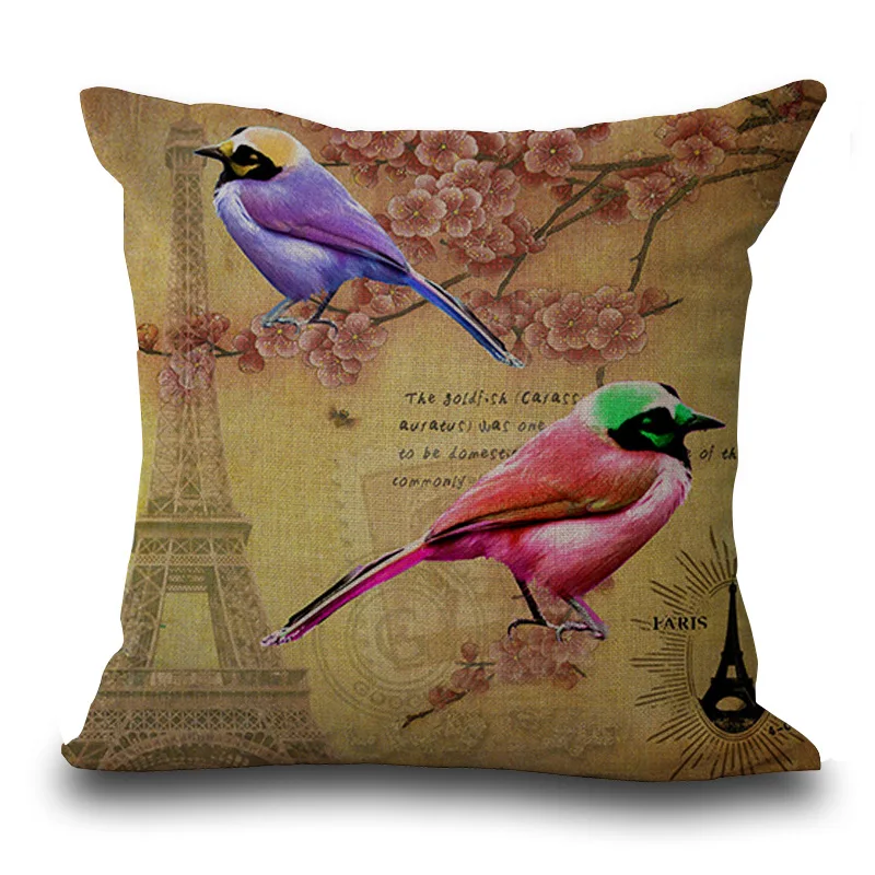 3235273106_1097342754