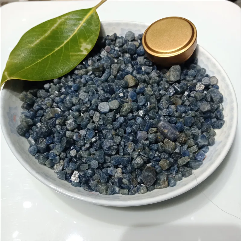 IMG20190224123759