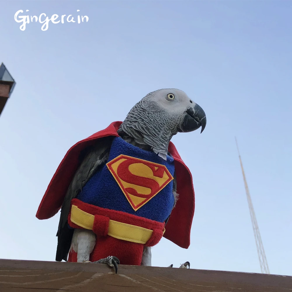 Gingerain одежда с птицами попугай подгузник Супермен ручной работы на заказ одежда с птицами Супермен