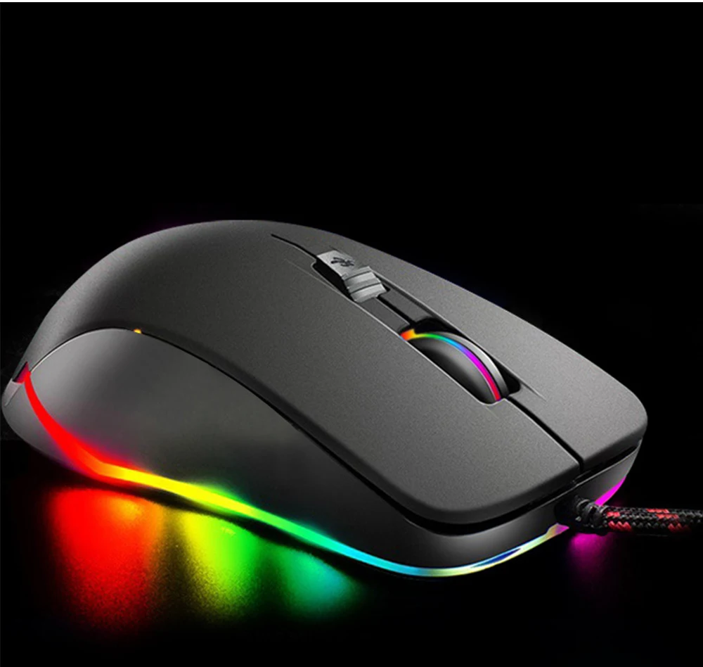 Mouse-2_04