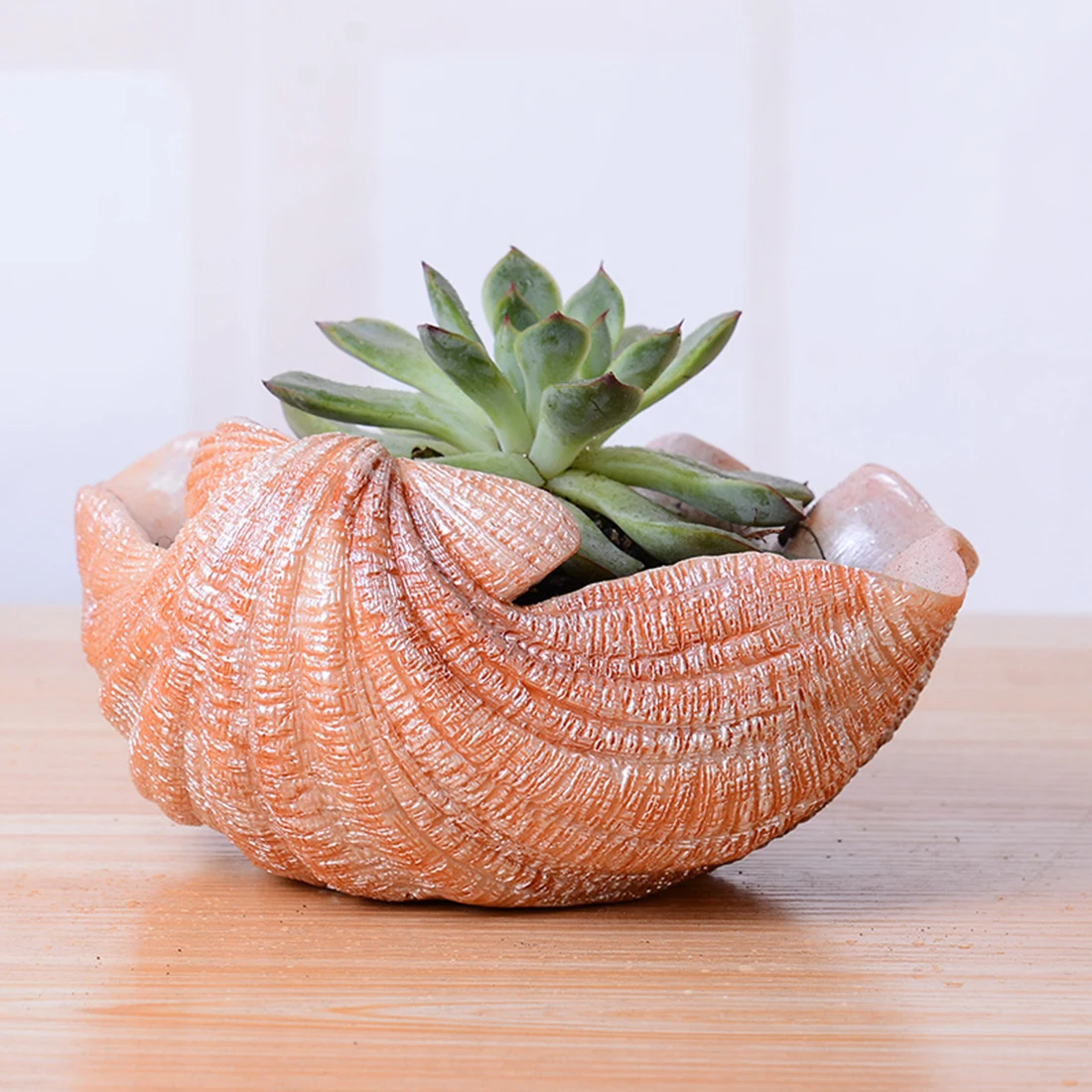 

VICTMAX Shell Shape Flower pot Creative Resin Tabletop Bonsai Container for Garden Decoration
