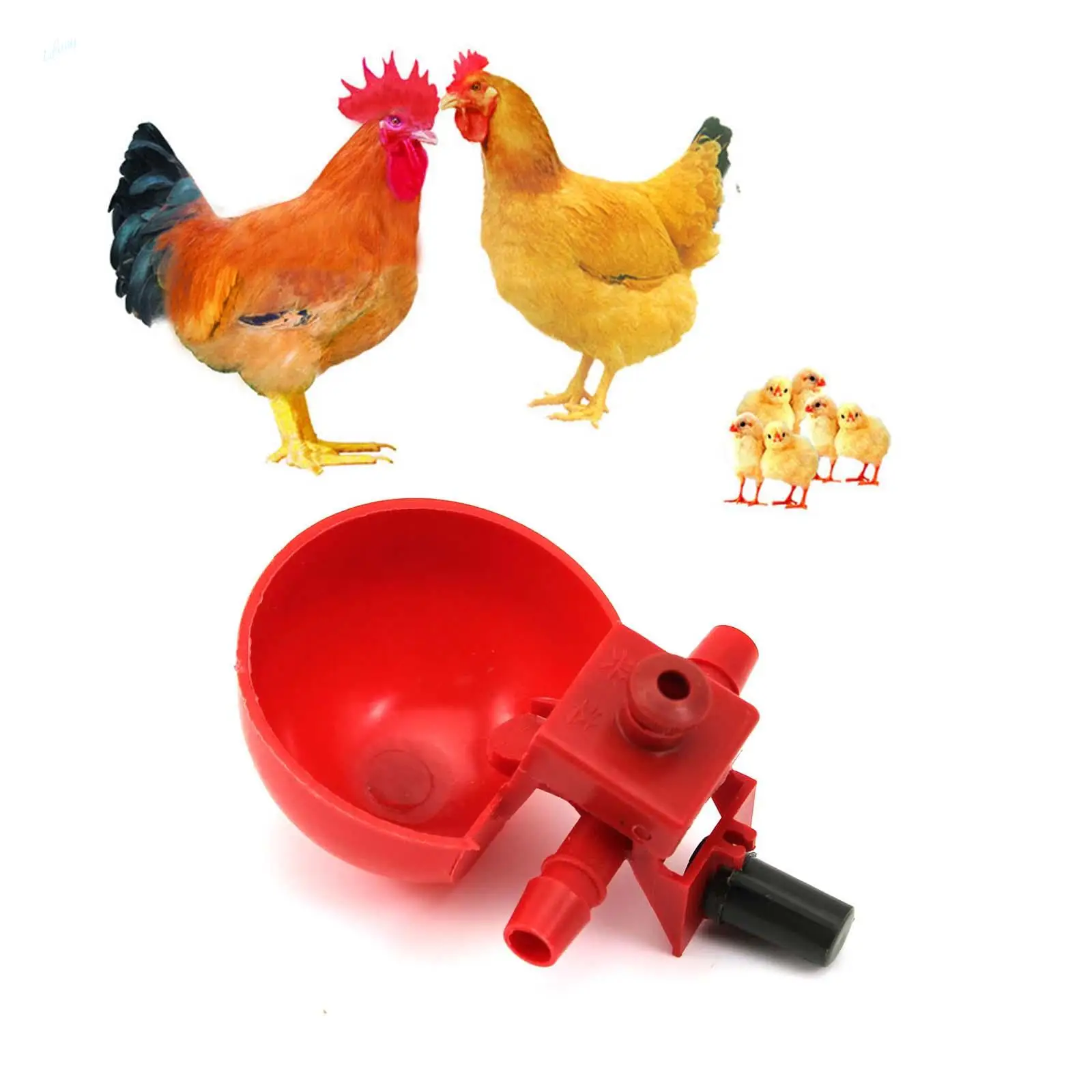 2Pcs Water Drinking Cups Chicken Fowl Drinker Bird Coop Automatic Feed