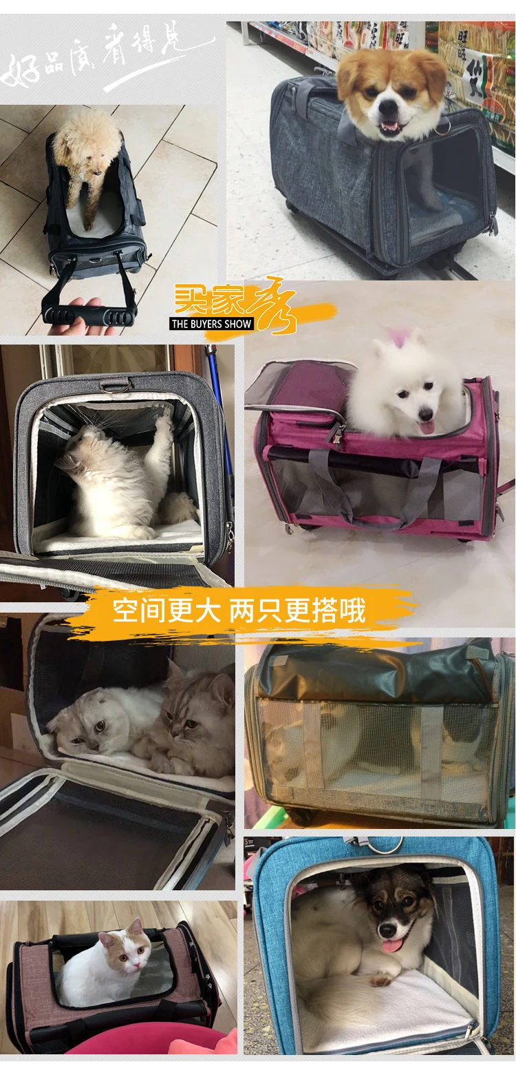 Новинка, женский складной чемодан на колесиках для питомцев, Спиннер для кошек и собак, чемодан на колесиках, 20 дюймов, сумка для переноски домашних животных, дорожная сумка