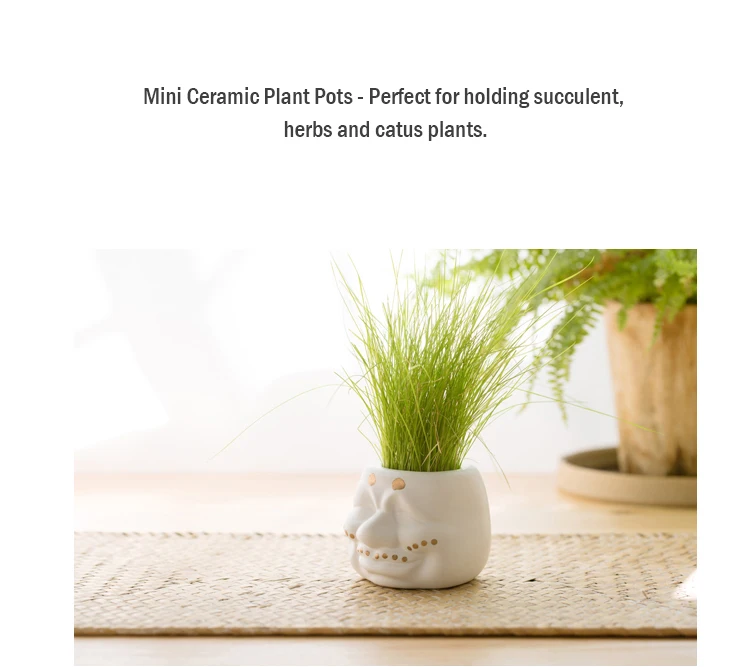 Ceramic-flower-pot-_05