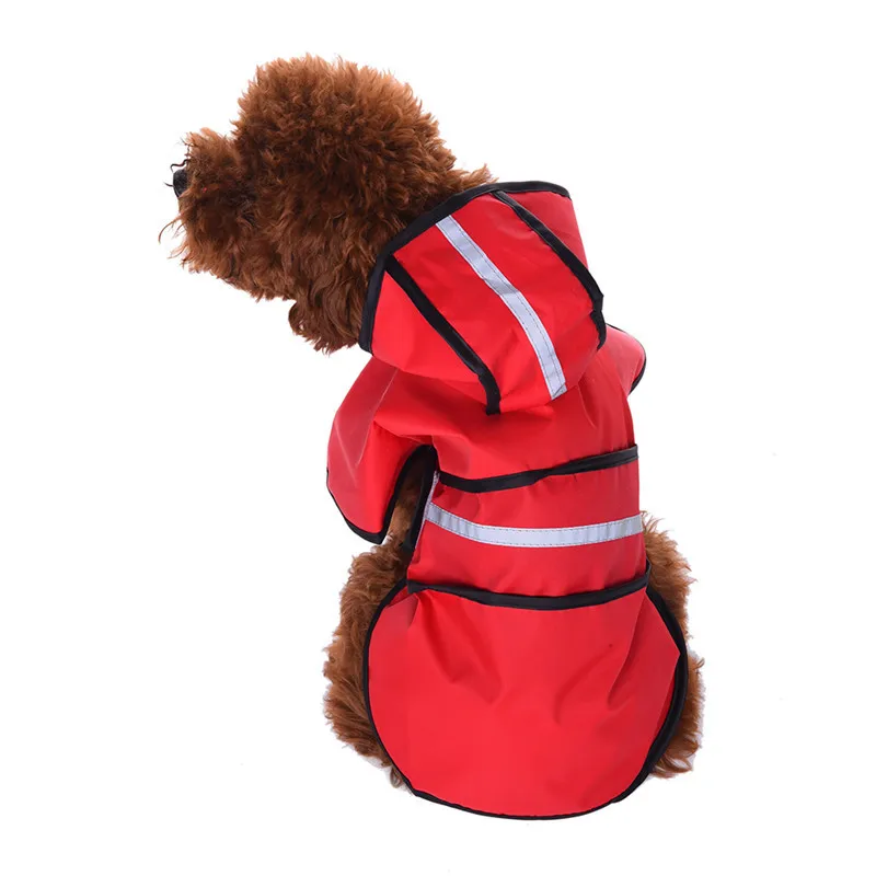 Köpek Yağmurluk