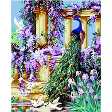 Павлин Животные DIY цифровая картина маслом цифры украшение для дома в классическом стиле стены искусства картина для гостиной работа 40X50