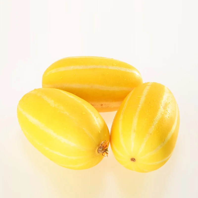 

Fruit And Vegetable Mibao 1 Cantaloupe bonsai Terrace Fruit Garden Potted Melon bonsai 10pcs