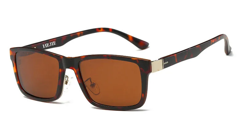 tortoise brown1