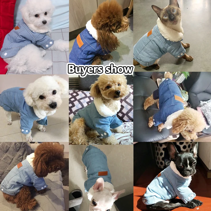Роскошная зимняя куртка для собак, одежда для щенков, костюм для животных, джинсовая куртка для собак, джинсовый костюм для чихуахуа, пуделя, домашний питомец породы Бишон, одежда 35S1
