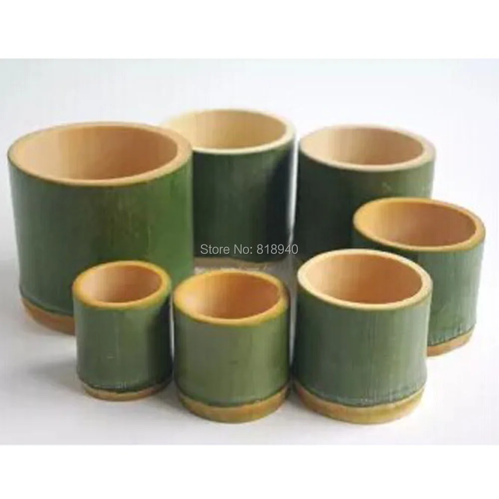 Amazoncom: Customer reviews: The Bamboo Saucer