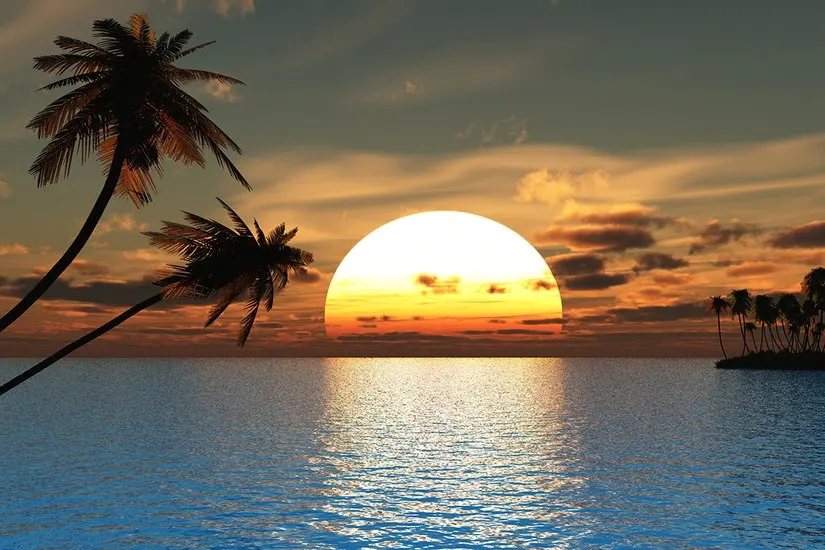 96 Tropical Sunset Ocean Palm Tree - Large Wall Mural, Self-adhesive Vinyl Wallpaper, Peel & Stick fabric wall decal