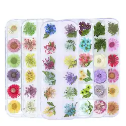 12 цветов украшения для ногтей цветы натуральный цветочный 3D натуральный красота сухие цветочные наклейки аксессуары для маникюра