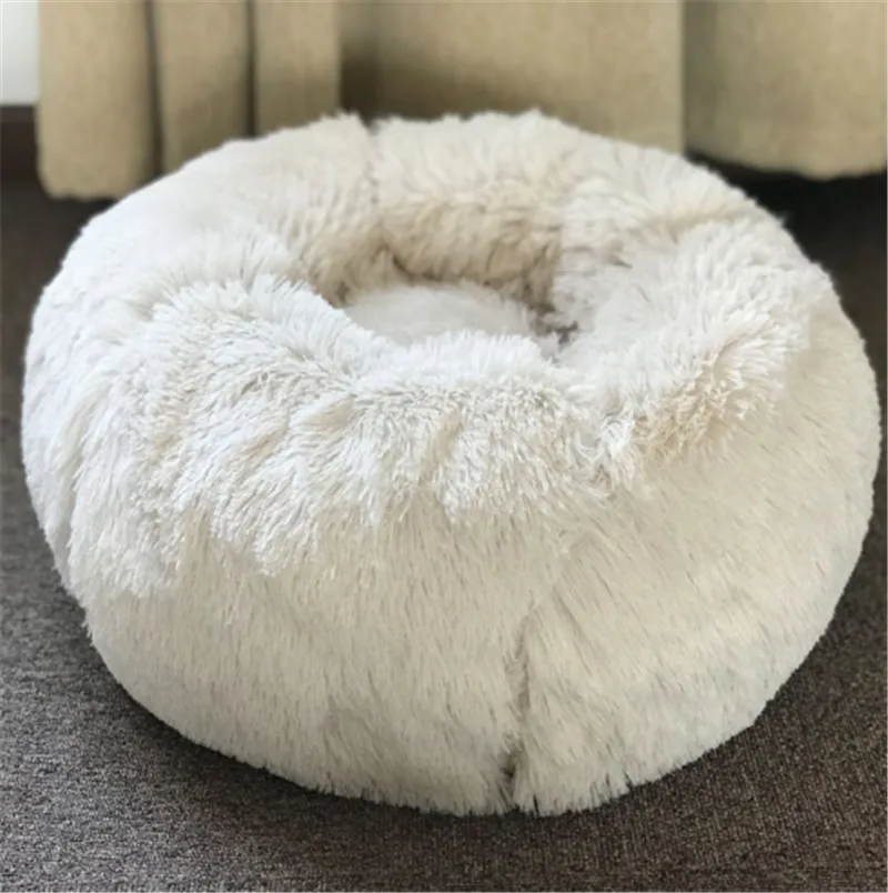 A11_