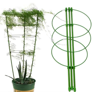 

Durable Plant Support Frame Creative Vine Climbing Rack 60cm Flower Decorative Gardening Tools Vegetables Plant Trellis
